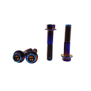 Rison Titanium Flanged Hex Head Bolt M10x1.25x25mm 6AL4V Aerospace Grade Ti Burnt Blue for Motorcycle Car Modification - Pack of 5 (Black)
