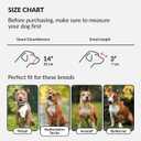 CollarDirect Pitbull Dog Muzzle Leather Amstaff Muzzles Staffordshire Terrier Secure Basket (Brown)