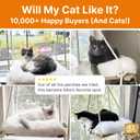 Cat Hammock with Industrial-Grade Suction Cups - Solid Pine Wood Seat, Soft Cushion - 42 lb Capacity