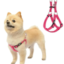 PUPTECK No Pull Dog Harness Soft Adjustable Basic Nylon Step in Puppy Vest Outdoor Walking with ID Tag DeepPink (Small)