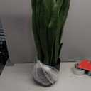Solution4Patio 3ft Artificial Sansevieria Trifasciata Prain, Tropical Faux Snake Plant, Fake Mother in Law Tongue Plants, Greenery Realistic Houseplant for Home Office Corner Outdoor/Indoor Decor