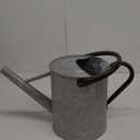 Esschert Design OZ44 Zinc Watering Can, Medium