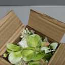 AFRITEE Faux White Silk Flower Arrangements - Centerpiece Table White Rose Flower Bouquet in Small Vase Set for Home Indoor Dining Room Wedding Centerpieces Coffee Table Decor