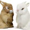 Realistic Furry Easter Bunny Decorations- Set of 2 Lifelike Easter Bunnies Decor for Home, Photography Props, Party Favors and Collectible Gifts