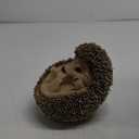 Hi-Line Gift Ltd Hedgehog on Back Statue