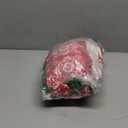 Horaldaily Christmas Flannel Blanket Throw, Green Reindeer Soft Fuzzy Plush Cozy Fleece Blankets for Couch Sofa Bed Lounging, Ideal Gifts for Kids Adults Wife Self, 50x60