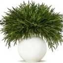 16 Pcs Artificial Norfolk Pine Branches - Real Touch Pine Stems Fake Plants Pine Picks Faux Greenery Stems for Vase DIY Crafts Garland Wreath Christmas Indoor Outdoor Home Decor