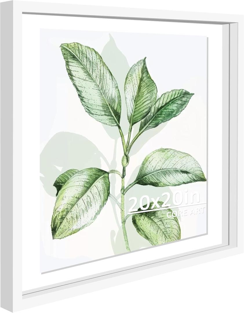 CORE ART 20x20 Floating Picture Frame, White