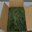 Hananona 50 Pcs Artificial Pine Branches Green Plants Pine Needles DIY Accessories for Garland Wreath Christmas and Home Garden Decor (50, Green)