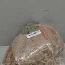 OLANLY Dog Door Mat for Muddy Paws 40x32, Absorbs Moisture and Dirt, Absorbent Non-Slip Washable Doormat, Quick Dry Chenille Mud Mat for Dogs, Entry Indoor Entryway Carpet for Inside Floor, Tan