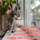 Magnetic Catch Wand (Max 40") Cat Toy  Interactive Telescoping Wand for Indoor Cats and Kittens, Magnetic Easy Catch & Release, Durable Enrichment Toy with 3 Lures (Cyan)