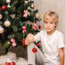 5 x Exakior Ornament Hooks  Essential Christmas Tree Decorating Hangers Great Xmas Ornament Hooks for Hanging Christmas Decorations 35 PCS (Round-Upgraded-35pcs)