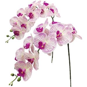 Fnize Faux Orchid Stems Artificial Flowers Phalaenopsis 38 Inch 2pcs Real Touch Latex 9 Large Petals Purple Pattern