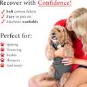 BellyGuard Recovery Suit for Dogs, Comfy Dog Surgery Suit, Female Spay and Male Neuter Onesie for Post-Op Care (Large, Grey)