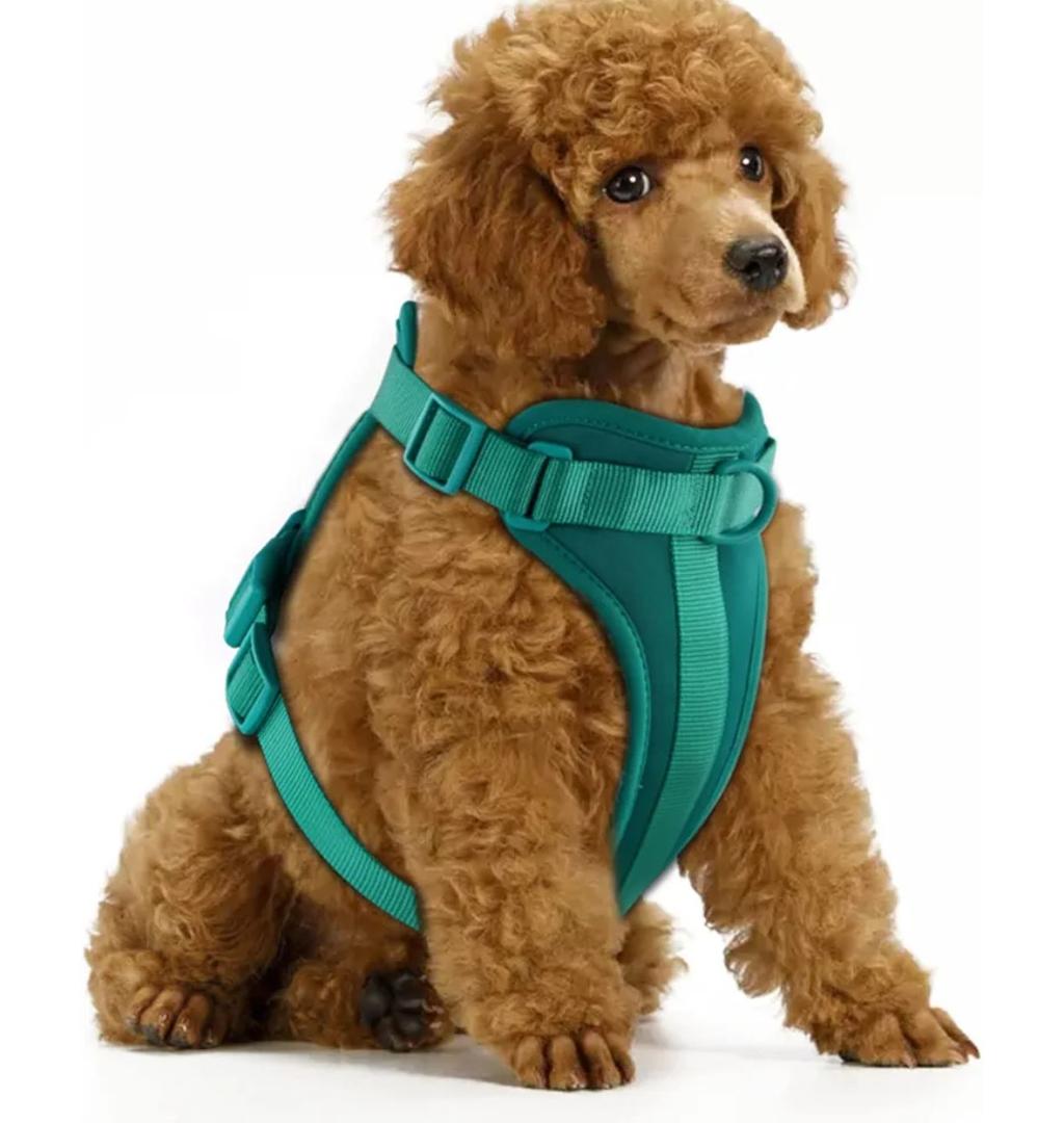 Wisedog No Pull Lightweight Dog Vest Harness with Soft and Comfortable Cushion, Breathable Mesh, for Small Medium Large Dogs Walking (S(Neck: 9.84"-14.17";Chest: 14.17"-22.05"), Emerald Green)