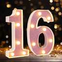 Led Light Up Numbers, Sweet 16th Birthday Party Decorations, Battery Powered Number 16 Light Up Sign, 16th Birthday Decorations for Girls (Pink Glitter)