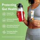 UltraGut GLP-1 Booster Fiber Mix Drink, Raspberry Lemonade, 30 Servings