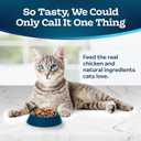 Blue Buffalo Blue Tastefuls Natural Adult Indoor Cat Chicken & Brown Rice Recipe Food for Cats 10 lb (EXP 02/04/27)