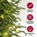ENVEN 4FT Pre-Lit Artificial Norfolk Pine Christmas Tree Realistic Potted Tree with 100 LED Lights & 8-Function Battery Box, Pre-Assembled Faux Holiday Dcor for Indoor Use