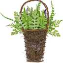 National Tree Company Artificial Hanging Wall Basket, Wicker Base, Decorated with Astilbe Flowers, Ferns, Leafy Greens, Spring Collection, 20 Inches