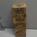 Grow Forward Premium Wheat Straw Cups - 20 oz Unbreakable BPA Free Hard Plastic Cups - Reusable Lightweight Plastic Drinking Glasses for Kitchen, Outdoor, Water, Camping, RV - Midnight