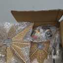 2 Pack Flush Mount Ceiling Light - Star Lights Fixture Hallway Lighting Fixtures Modern Ceiling Lights Brass Flush Mount Light Fixture for Kitchen Bathroom Bedroom Entryway (Bulb not included)