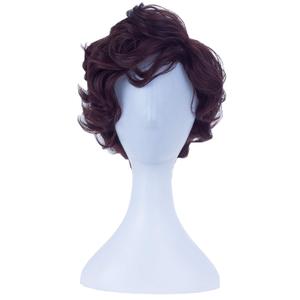 Angelaicos Men's Short Curly Brown Black Wig Halloween Costume Cosplay Party Fluffy Wigs (Brown)