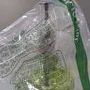 XXXFLOWER Glass Plant Mister Spray Bottle for Indoor Plant Spritzer Succulent Watering Bottle (Green)