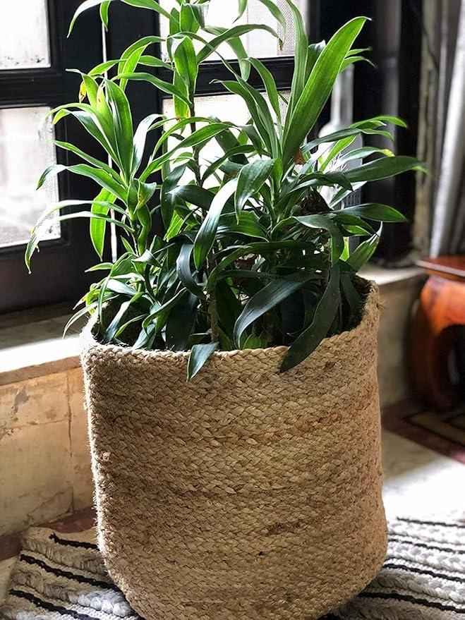 Fake Bamboo Tree Plant