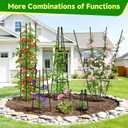Garden Obelisk Trellis for Climbing Plants Outdoor, 63 Inch Height Adjustable Gardening Trellis, Steel Plastic Coated Plant Support for Indoor & Outdoor Multiple Climbing Plants(1PCS)