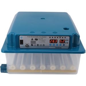 Poultry Hatching Machine, Automatic Eggs Incubators, Intelligent Thermostat Poultry Hatching Machine 36 Eggs Digital Poultry Hatching Machine for Duck Goose Bird Fish Lizard Eggs (US Plug 110V)