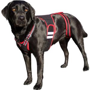 Dog Back Brace - Specialized IVDD, Arthritis Relief, Herniated Disc, Slipped Disc, Surgery Recovery - Dog Spine Support Harness - PetAngell - X Large