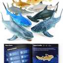 Boley Shark Toys - 8 Pack 10" Long Soft Plastic Realistic Shark Toy Set - Toddler Sensory Toys and Birthday Party Favors for Kids