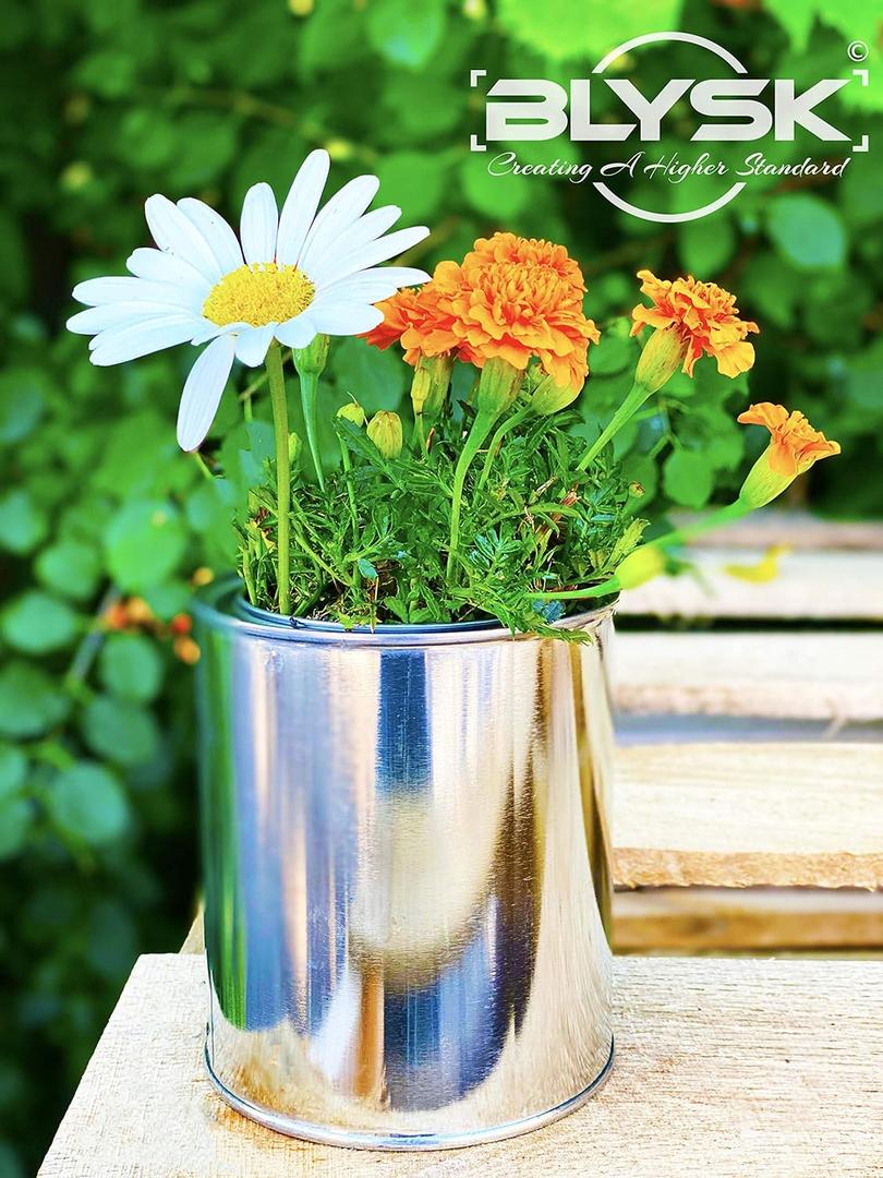 Empty Metal Quart Cans with lids (2)