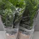 2 Pack Artificial Fern Plants in Pots Artificial Boston Ferns Potted Plants Faux Fern Bush Plant Shrubs Greenery for Outdoor Indoor Porch Patio Farmhouse Garden Living Room Office Table Decor (Type 2)