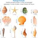 UEIEU gopiter Sea Shells - Beach Mixed Seashells - Various Size up to 2" Natural sea Shells for Crafting Fish Tank Vase Fillers Beach Theme Party Wedding Decor Home Decorations DIY Crafts (Color)