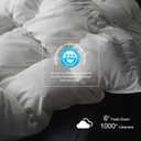Royoliving Premium Feathers Down Duvet Insert Comforter Queen Size All Season Medium Warmth White 100% Cotton Cover with Corner Tabs (90x90, 50 oz)