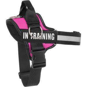 Essential Dog Harness, No Pull Pet Harness with 3 Side Rings for Leash Placement, No Choke, Reflective, Adjustable Pet Vest, Easy On-Off & Improved Control Handle, Training, Walking, Running, L