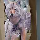 Bird-X 2D Hunting Coyote Predator Decoy - Targets Canada Geese, Deer and Rabbits Deterrent, Yard Ornament