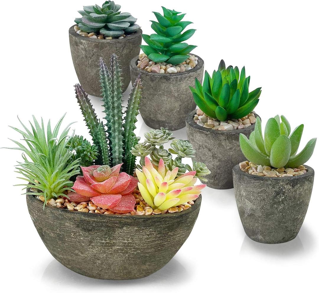 Succulents Plants Artificial Set of 5, Realistic Fake Succulents with Cement Like Pots for Home Office Decoration. (Type1)