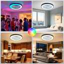 Depuley RGB Ceiling Fan with Light: 19" Enclosed Low Profile Flush Mount