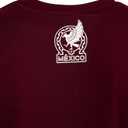Been There Premium Hand Tailored Mexico National Team SS T Shirt (Red, XL)