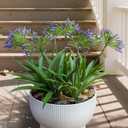 Artificial Flowers Plants for Outdoor Planters 8 Bundles Purple Flower Large Spring Summer 18.9 in Look Real Plasic Plant for Front Porch