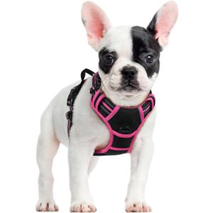 rabbitgoo Dog Harness No Pull with 2 Leash Clips, Adjustable Soft Padded, Reflective Oxford No Choke Pet Vest with Easy Control Handle for Large Dogs, Black & Hot Pink, S