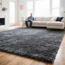 Small Bedside Rug, 2x3 Non Slip Fluffy Shaggy Entryway Throw Rugs for Bedroom Living Room, Indoor Floor Carpet for Kids Girls and Boys, Nursery Rooms Mat, Home Decor Aesthetic