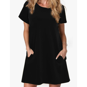 Alaster Women’s Casual Summer T Shirt Dress Loose Short Sleeve Tunic Dress with Pocket for Women M