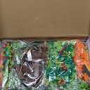 BDYDT Wall Art Chameleon Building Blocks Set; A Wall Decor Set for Adults Who Love Creative Hobbies (2688 Pieces) Toys Gifts for Kid and Adult