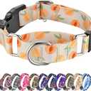 Hikiko Martingale Collar for Dogs Peach Dog Collar for Small Medium Large Dogs Cute Holiday Summer Dog Collars Pet Gift (Peach,Medium)