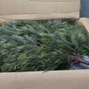 4FT Artificial Topiary Trees with Pot, 2 Pack Fake Plants