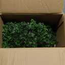 Artificial Bonsai Tree 16" Tall with Realistic Wood and Ceramic Pot Fake Plants Juniper Pine Zen Faux Plants for Home Bedroom Office Bathroom Japanese Decor